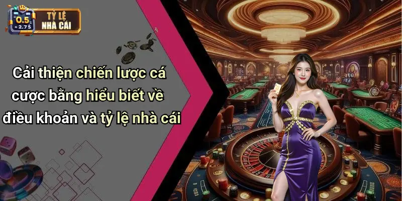 Cải thiện chiến lược cá cược bằng hiểu biết về điều khoản và tỷ lệ nhà cái