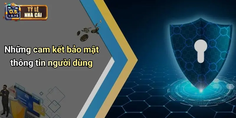 Những cam kết bảo mật thông tin người dùng