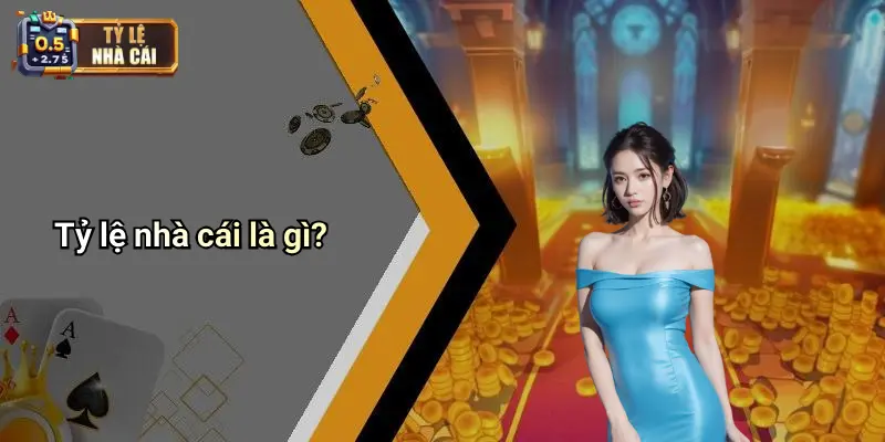 Tỷ lệ nhà cái là gì?