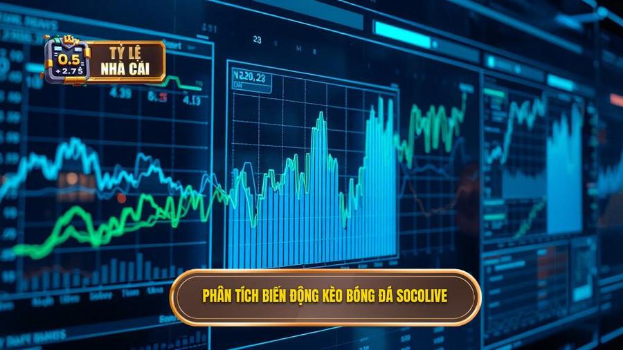 3. Phân tích đa chiều về biến động kèo bóng đá Socolive