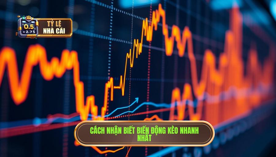 Cách nhận biết biến động kèo hôm nay nhanh và chính xác nhất