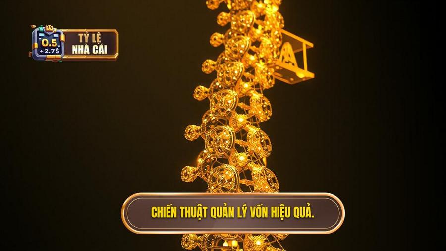 Chiến thuật quản lý vốn - Xương sống của mọi chiến thắng