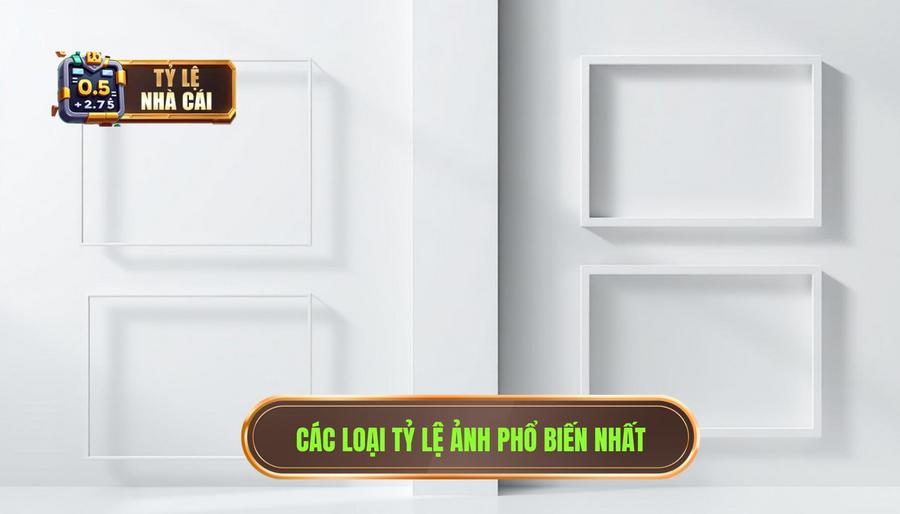 3. Các loại tỷ lệ phổ biến và ý nghĩa đặc trưng 3. Các loại tỷ lệ phổ biến và ý nghĩa đặc trưng
